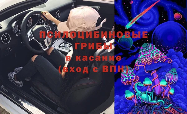 эйфоретик Алексин